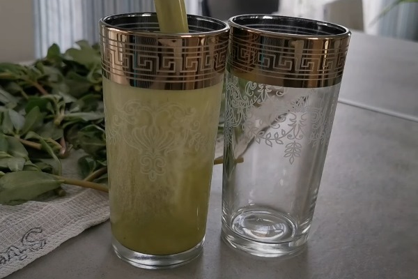 Напиток из портулака 2024 04 17 016 - Напиток из портулака