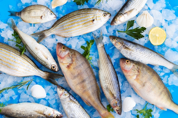 Рыба по-афонски top view mix fresh fishes ice - Рыба по-афонски