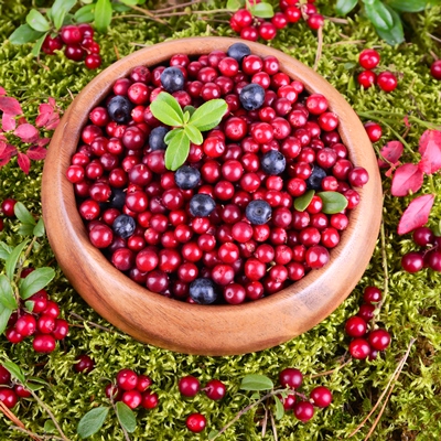 Брусника натуральная без сахара Брусника натуральная без сахара