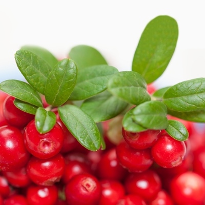 Брусника в собственном соку Брусника в собственном соку