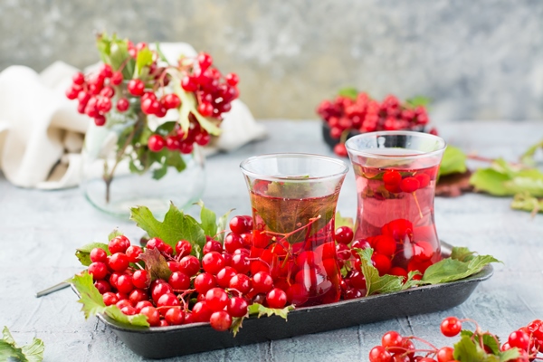 Компот из калины infusion viburnum berries glasses twigs with berries viburnum leaves substrate table alternative medicine wellness vitamin nutrition - Компот из калины