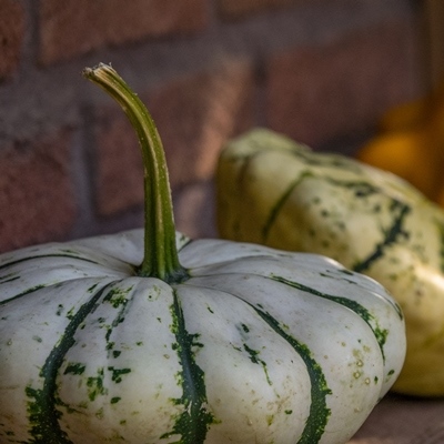 Икра из патиссонов консервированная Икра из патиссонов консервированная