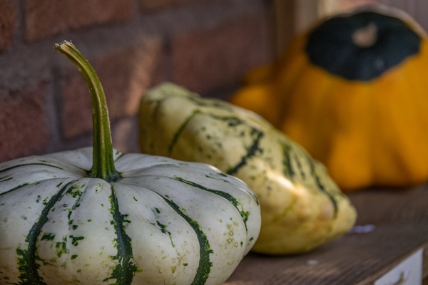 Икра из патиссонов консервированная pumpkins germany - Икра из патиссонов консервированная