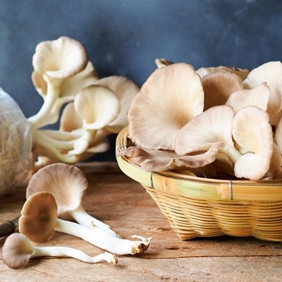 Вёшенки солёные (холодный способ)