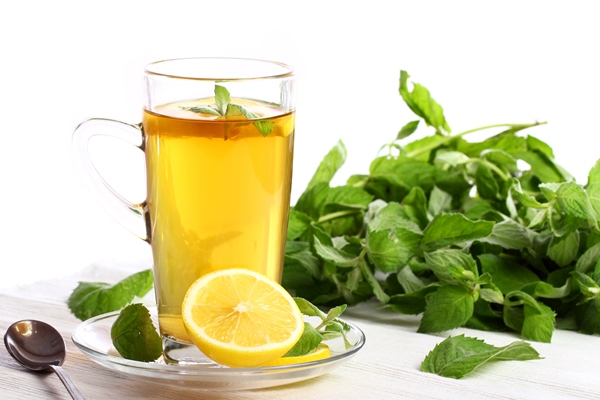 Мятный чай с анисом cup hot mint tea - Мятный чай с анисом
