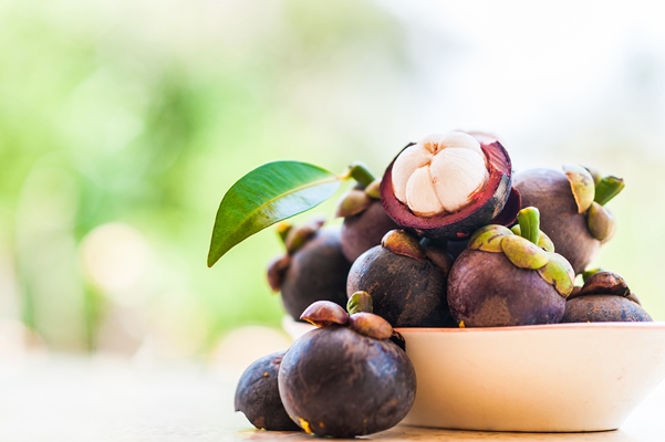 close up fruits growing plant - Мангостин