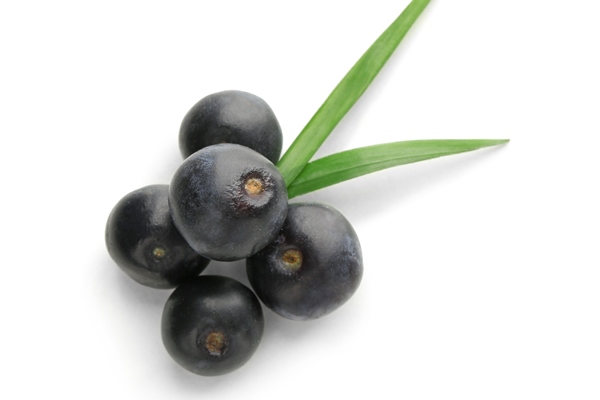 fresh acai berries isolated white kopiya - Асаи