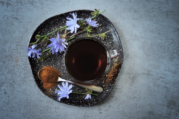 cikorii v caske cvety cikoria - Квас из цикория