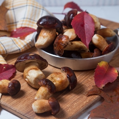 Как готовить самые популярные съедобные грибы Как готовить самые популярные съедобные грибы