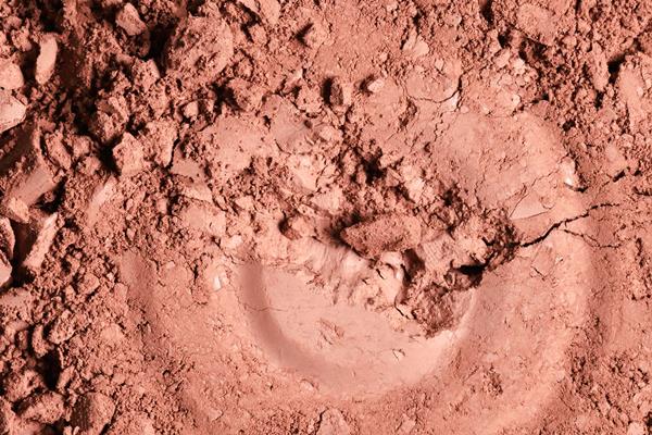 teni dla makiaza krupnym planom - Съедобная глина (болюс)