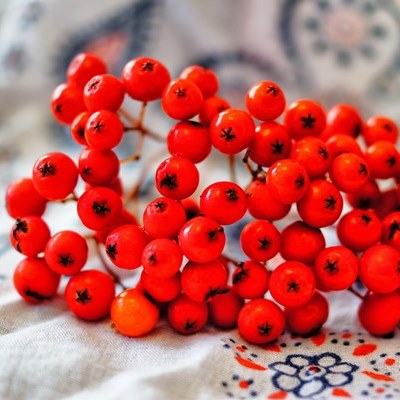 Сироп рябиновый Сироп рябиновый