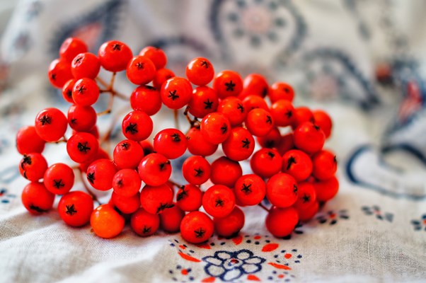 Сироп рябиновый blizkii plan krasnoi rozy - Сироп рябиновый