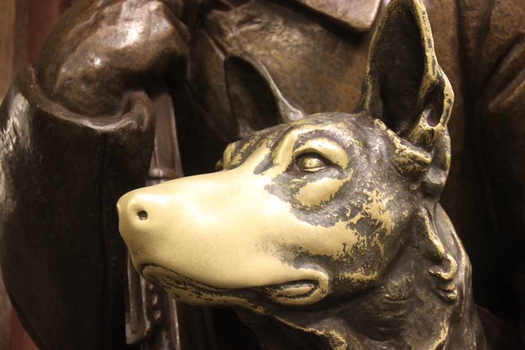 Суеверия в России: собачий нос как талисман