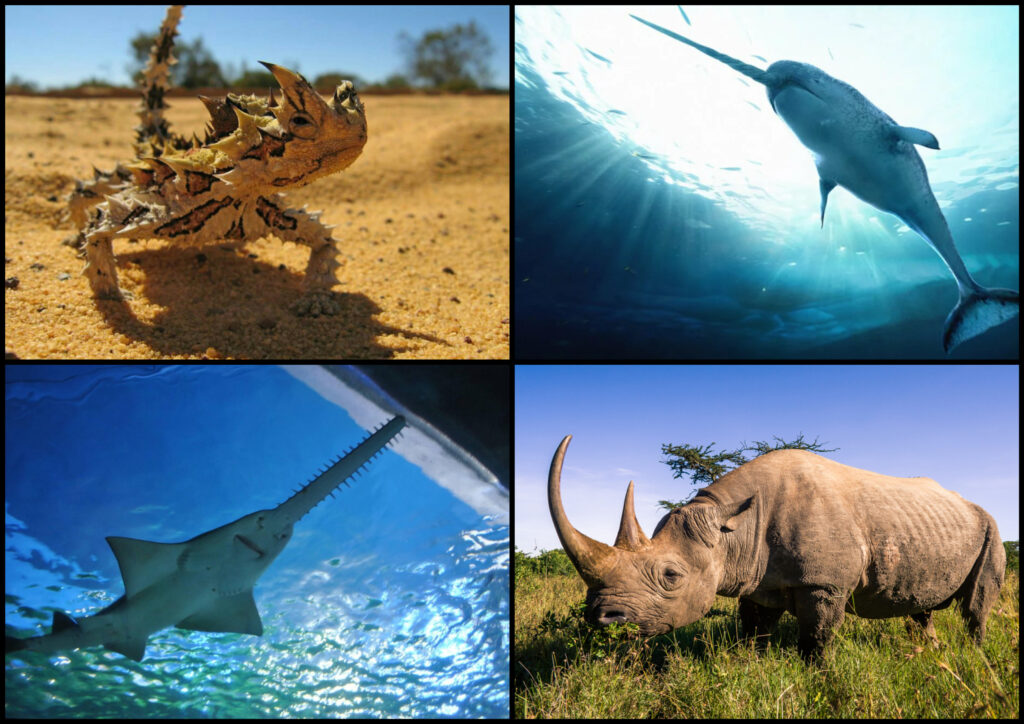 Животные в Библии 12