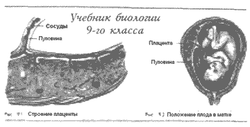 Учебник биологии 9-го класса