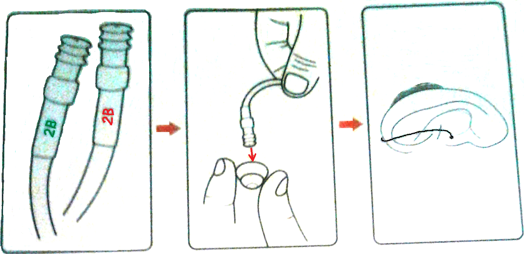 image009.png