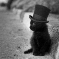 Катерина KittyK