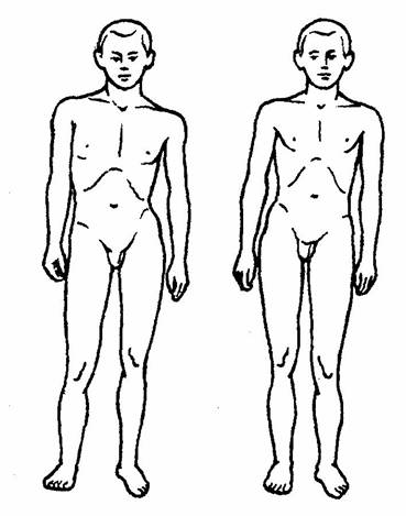 image117 - Искусство не стареть. Как вернуть гибкость и здоровье