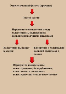 Что таит в себе желчный пузырь? - Азбука веры желчный пузырь