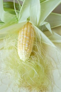 corn-silk