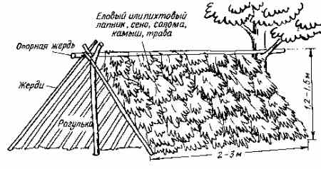 Выжить в лесу за счет современных технологий — иллюстрация 4