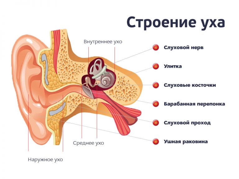 Гной при отите фото