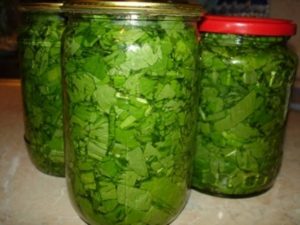 Заготавливаем травы квашением - Азбука веры сельдерей forum.updiet.info - Заготавливаем травы квашением