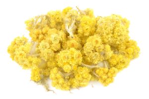 Бессмертник песчаный (сухоцвет): свойства и применение - Азбука веры бессмертник