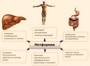 Метформин побочные действия при длительном thumbnail