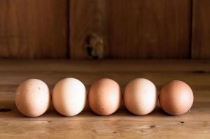 preview16 3 300x199 - Полезны ли куриные яйца?