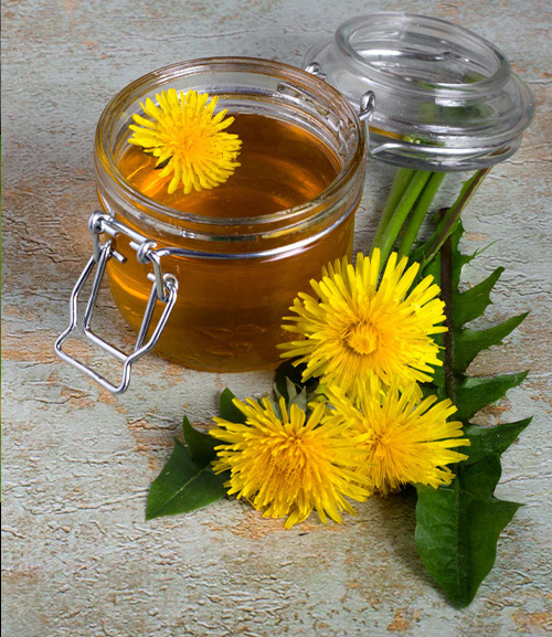 Варенье из одуванчика для печени — рецепт