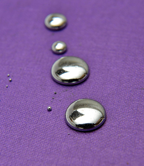 Как защититься от ксенобиотиков?