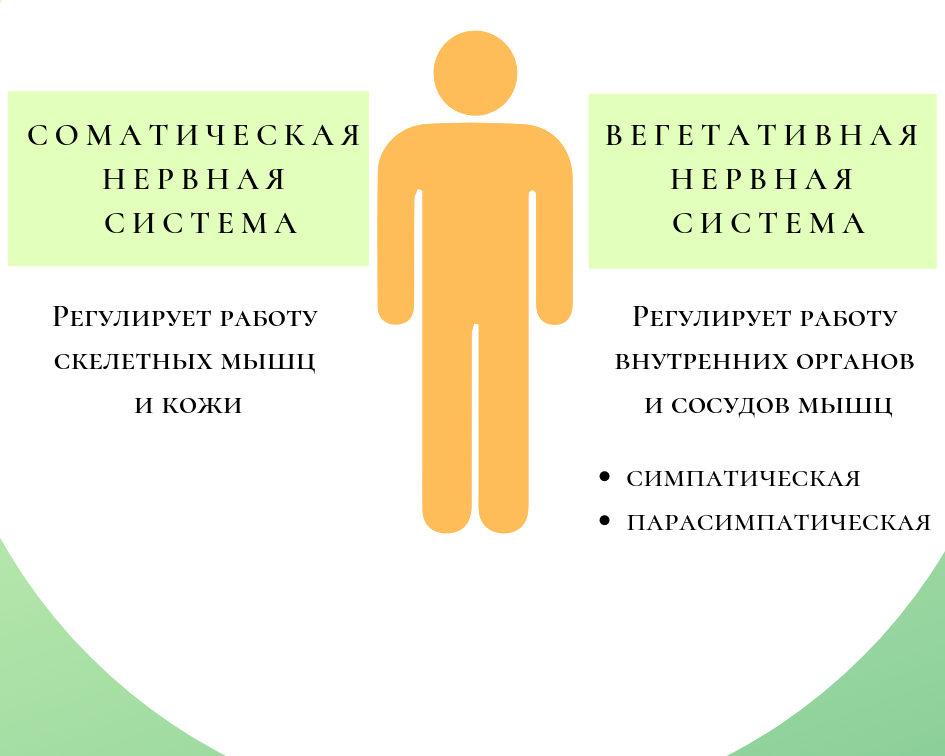 Психосоматика зоны