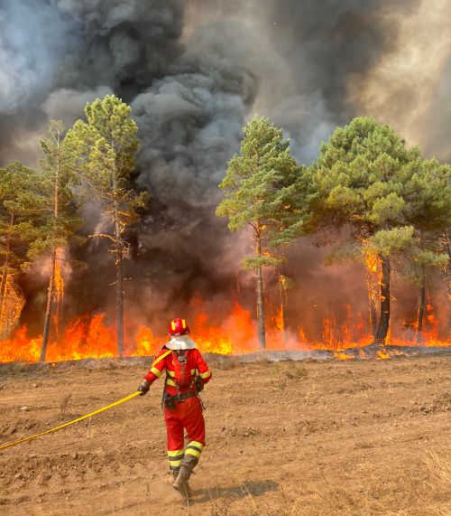 Школа выживания при авариях и стихийных бедствиях