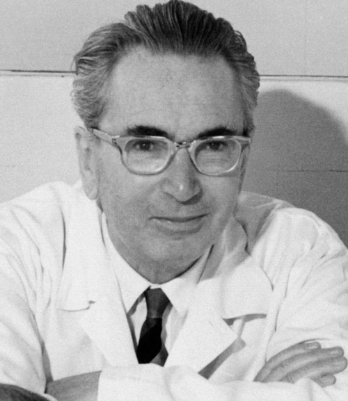 Основные понятия логотерапии