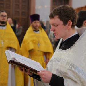 Фото пользователя